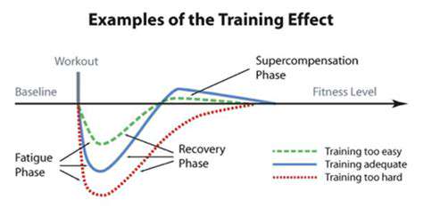 Best Nutrition Strategies for Athletes (Fueling Performance)