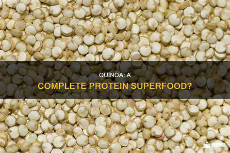 Best Sources of Plant Based Protein