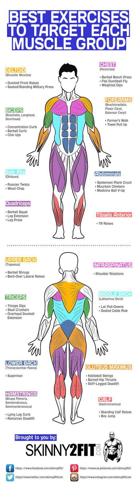 Dynamic Stretching Routine for Improved Mobility