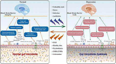 Understanding the Link Between Gut Health and Mental Health