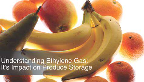 How to Store Fruits and Vegetables to Keep Them Fresh Longer