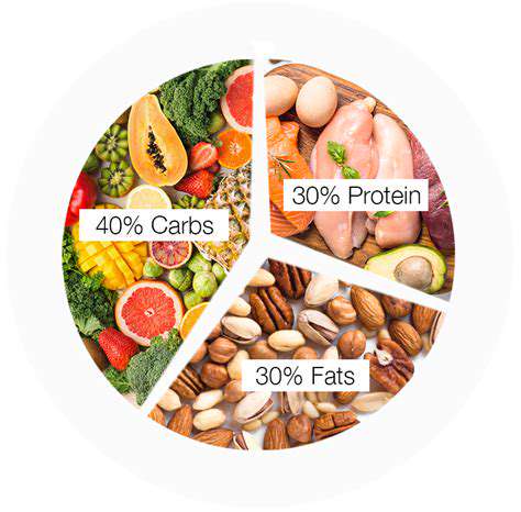 Guide to Understanding Macronutrients (Protein, Carbs, Fat)