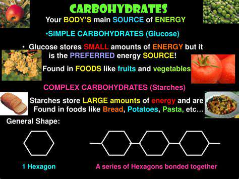 Carbohydrates:YourBody'sPreferredEnergySource