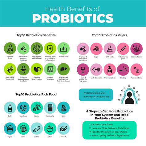 Guide to Understanding Probiotics and Prebiotics