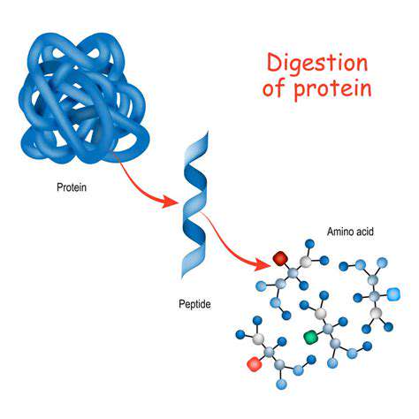 Protein:TheBuildingBlockofLife