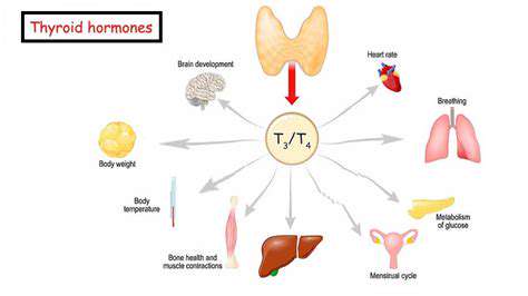 Understanding Thyroid Health Concerns (Hypo/Hyperthyroidism)