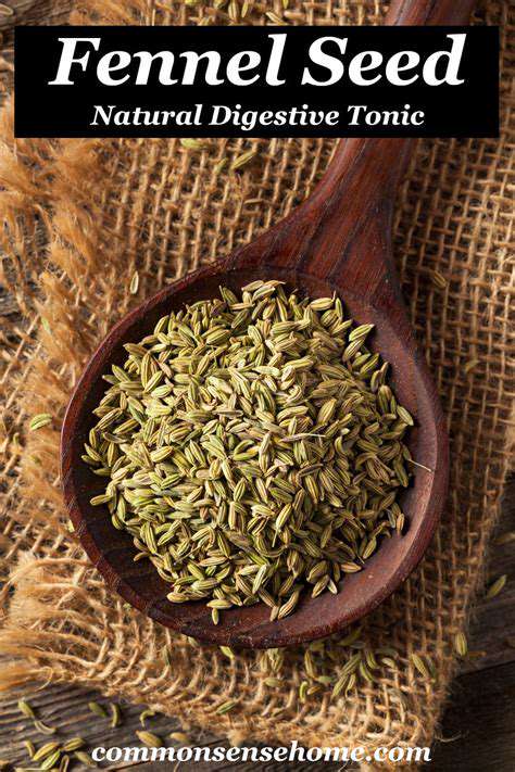Best Teas for Digestion and Gut Health