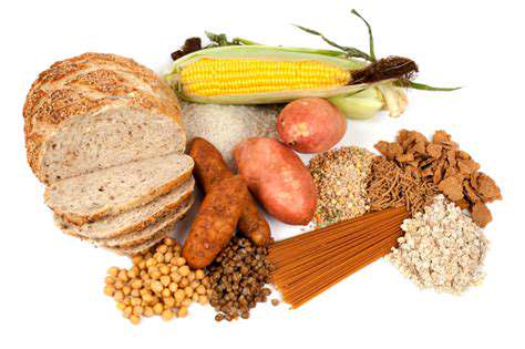 How to Build a Balanced Vegetarian Meal Plan
