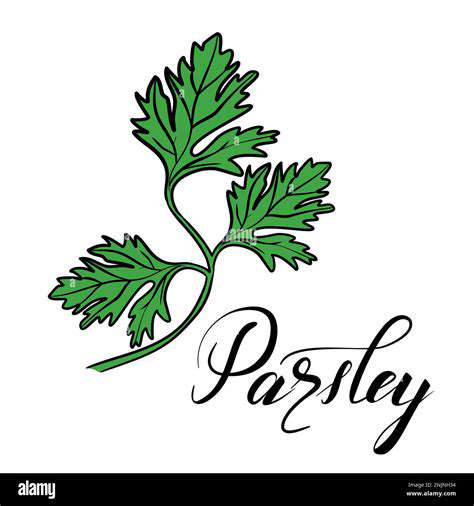 The Best Herbs to Grow for Healthy Cooking