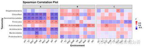 How to Start a Gratitude Journal: A Step by Step Guide